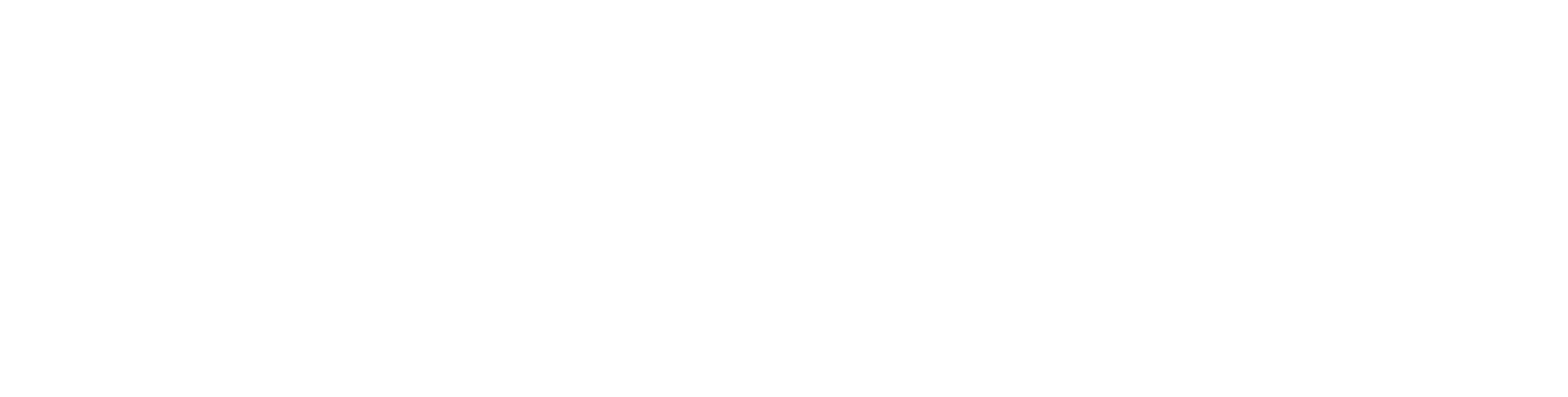SoftNext Solutions