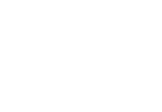 OIG