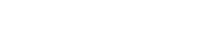 SoftNext Solutions
